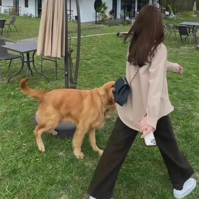 巴吉：爱的反叛者